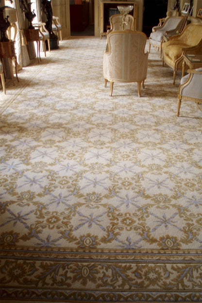 Vintage Persian Style Printed Living Room Carpet / Luxury Area Rug